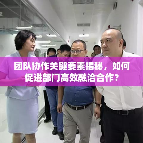 团队协作关键要素揭秘，如何促进部门高效融洽合作？