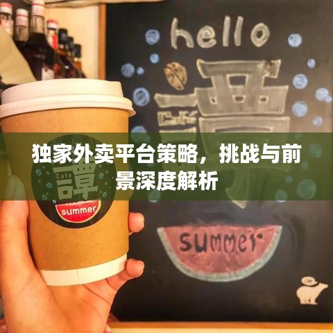 独家外卖平台策略，挑战与前景深度解析