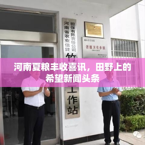 河南夏粮丰收喜讯，田野上的希望新闻头条