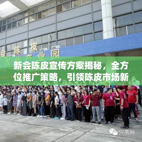 新会陈皮宣传方案揭秘，全方位推广策略，引领陈皮市场新潮流！