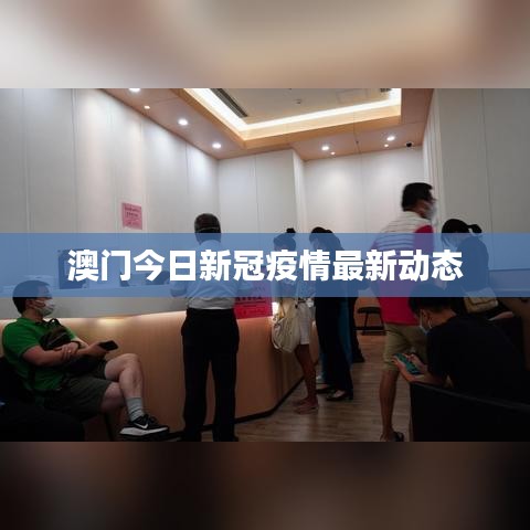 澳门今日新冠疫情最新动态