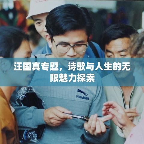 汪国真专题，诗歌与人生的无限魅力探索