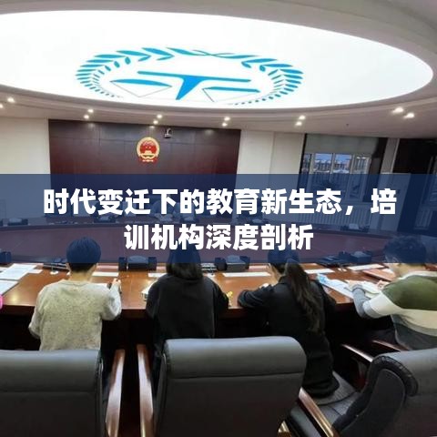 时代变迁下的教育新生态，培训机构深度剖析