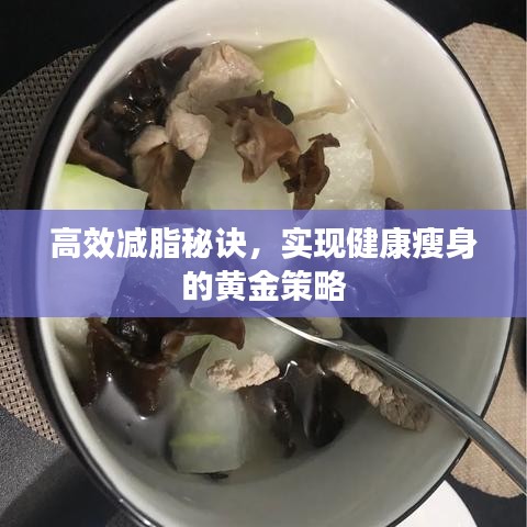 高效减脂秘诀，实现健康瘦身的黄金策略