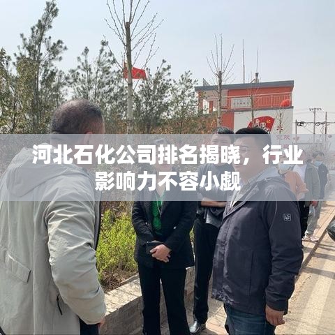 河北石化公司排名揭晓，行业影响力不容小觑