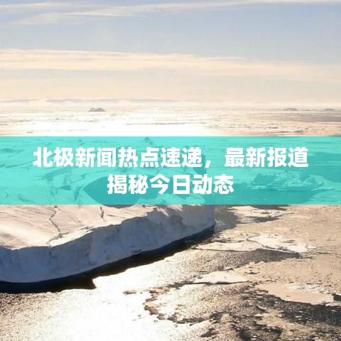 北极新闻热点速递，最新报道揭秘今日动态