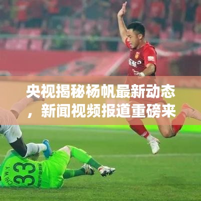 央视揭秘杨帆最新动态，新闻视频报道重磅来袭！