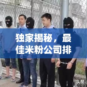 独家揭秘，最佳米粉公司排行榜，品质之选一网打尽！