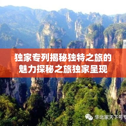 独家专列揭秘独特之旅的魅力探秘之旅独家呈现