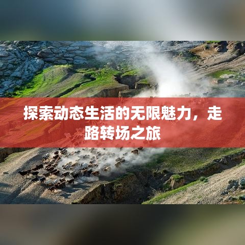 探索动态生活的无限魅力，走路转场之旅