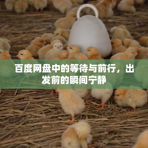 百度网盘中的等待与前行，出发前的瞬间宁静