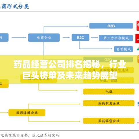 药品经营公司排名揭秘，行业巨头榜单及未来趋势展望