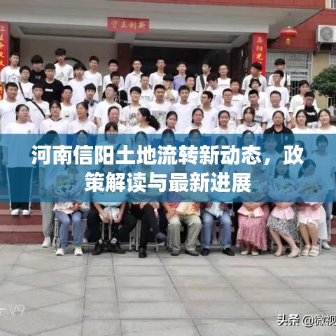 河南信阳土地流转新动态，政策解读与最新进展