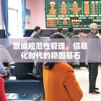 数据规范性管理，信息化时代的稳固基石