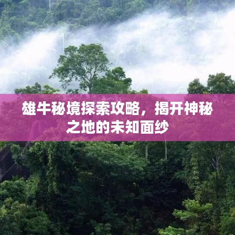 雄牛秘境探索攻略，揭开神秘之地的未知面纱