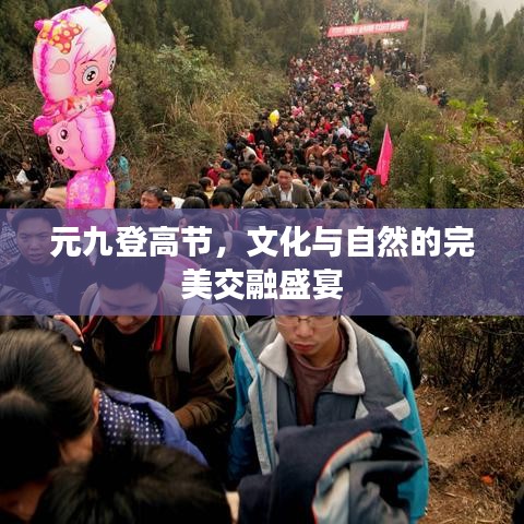 元九登高节，文化与自然的完美交融盛宴