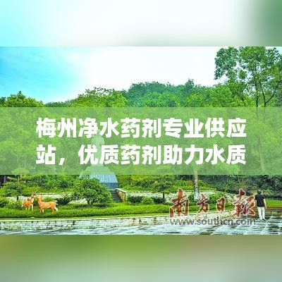 梅州净水药剂专业供应站，优质药剂助力水质提升