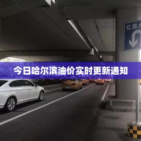 今日哈尔滨油价实时更新通知