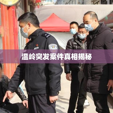 温岭突发案件真相揭秘