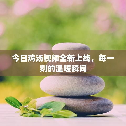 今日鸡汤视频全新上线，每一刻的温暖瞬间