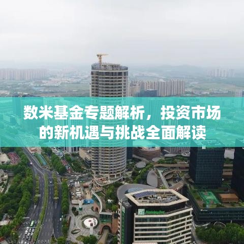 数米基金专题解析，投资市场的新机遇与挑战全面解读