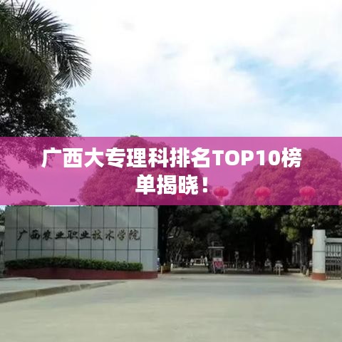 广西大专理科排名TOP10榜单揭晓！