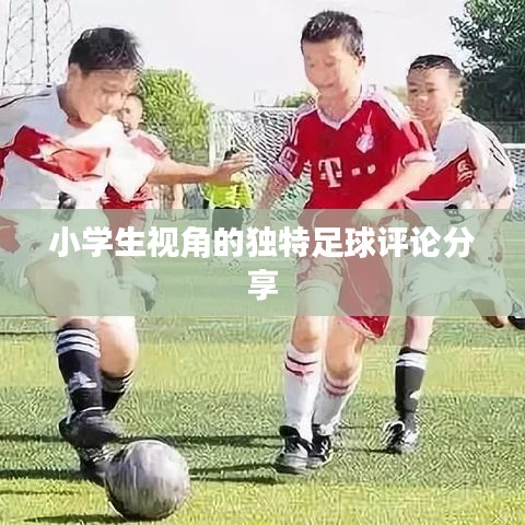 小学生视角的独特足球评论分享