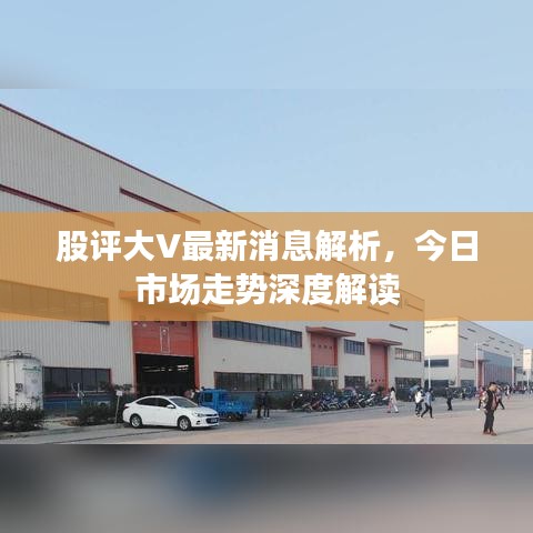 股评大V最新消息解析，今日市场走势深度解读