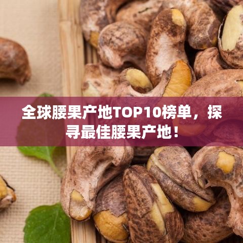 全球腰果产地TOP10榜单，探寻最佳腰果产地！