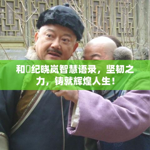 和珅纪晓岚智慧语录，坚韧之力，铸就辉煌人生！