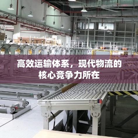 高效运输体系，现代物流的核心竞争力所在