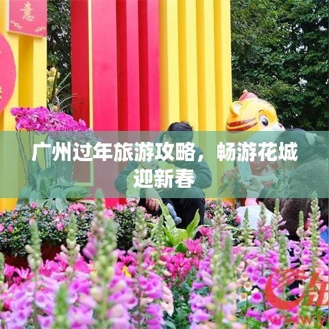 广州过年旅游攻略，畅游花城迎新春