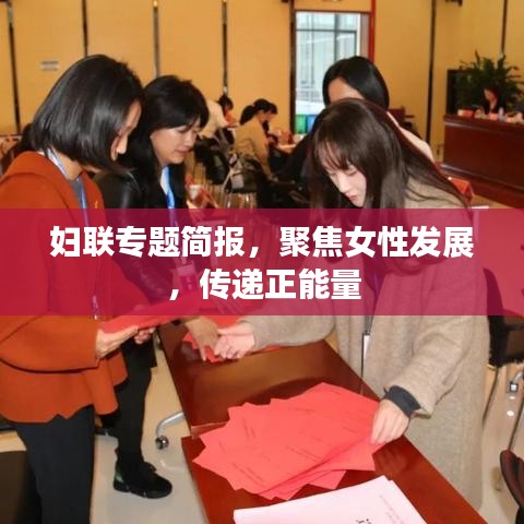 妇联专题简报，聚焦女性发展，传递正能量