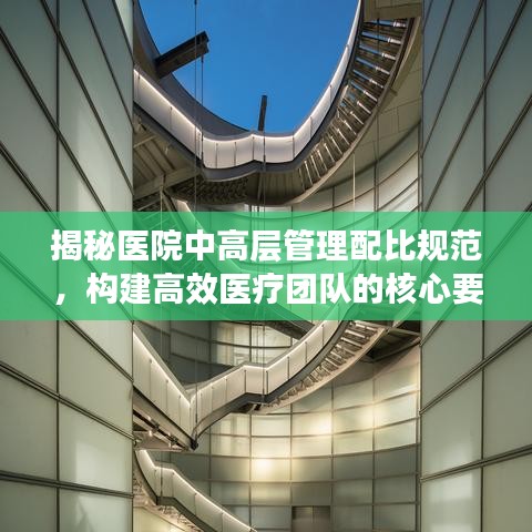 揭秘医院中高层管理配比规范，构建高效医疗团队的核心要素