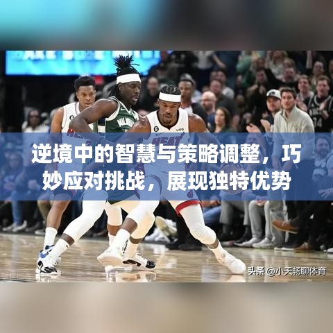 逆境中的智慧与策略调整，巧妙应对挑战，展现独特优势