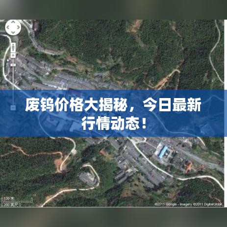 废钨价格大揭秘，今日最新行情动态！