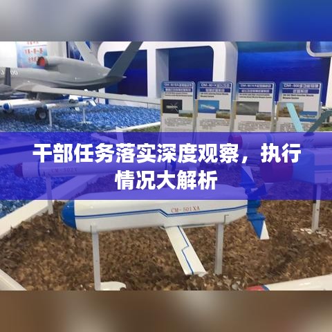 干部任务落实深度观察，执行情况大解析