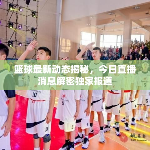 篮球最新动态揭秘，今日直播消息解密独家报道