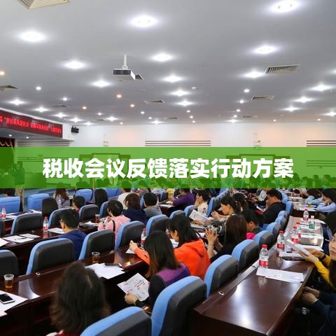税收会议反馈落实行动方案