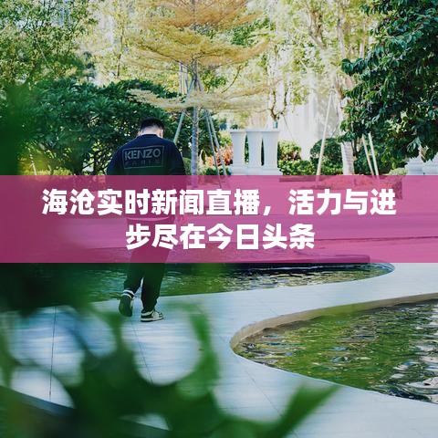 海沧实时新闻直播，活力与进步尽在今日头条