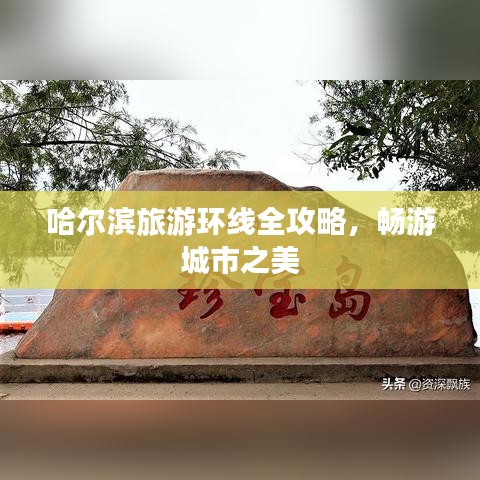 哈尔滨旅游环线全攻略，畅游城市之美
