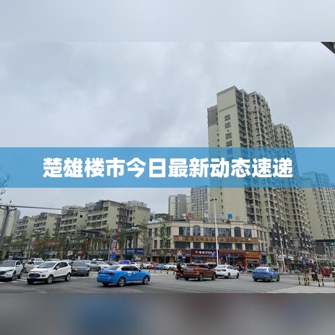 楚雄楼市今日最新动态速递