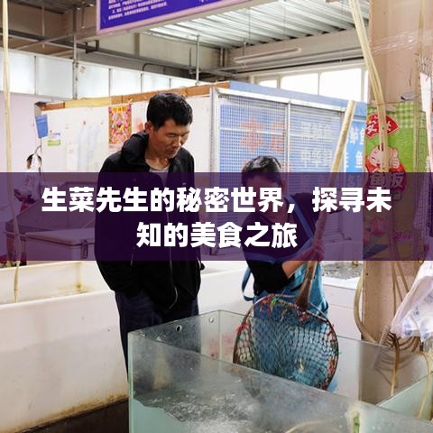 生菜先生的秘密世界，探寻未知的美食之旅