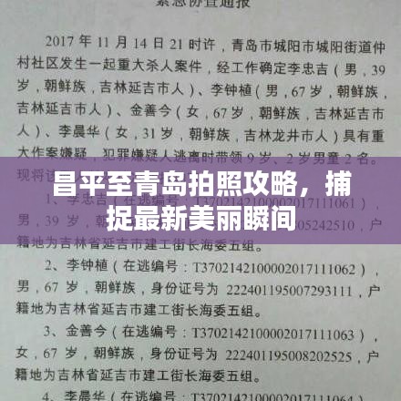 昌平至青岛拍照攻略，捕捉最新美丽瞬间