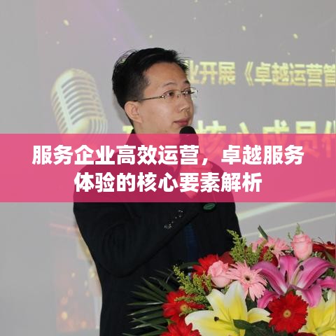 服务企业高效运营，卓越服务体验的核心要素解析