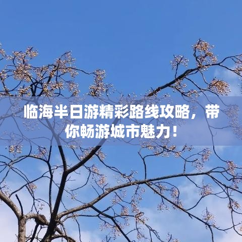 临海半日游精彩路线攻略，带你畅游城市魅力！