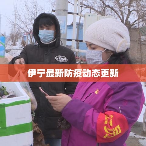 伊宁最新防疫动态更新