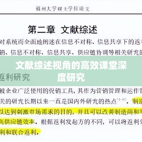 文献综述视角的高效课堂深度研究