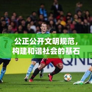 公正公开文明规范，构建和谐社会的基石