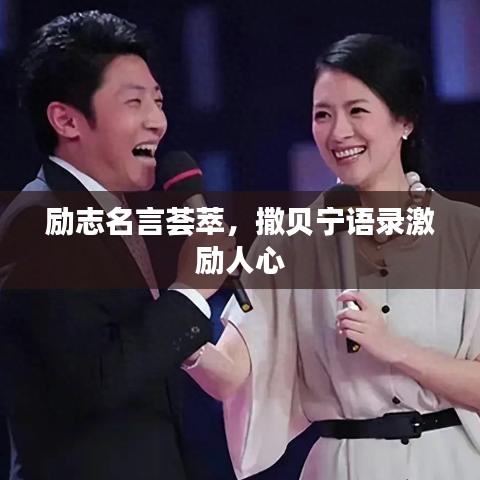 励志名言荟萃，撒贝宁语录激励人心